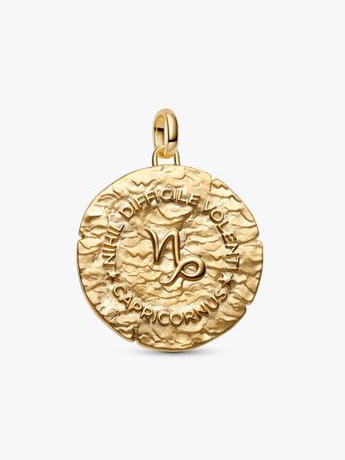 Capricorn Zodiac Oversized Talisman Charm