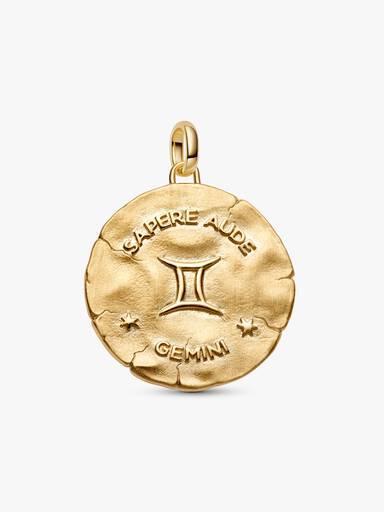 Gemini Zodiac Oversized Talisman Charm