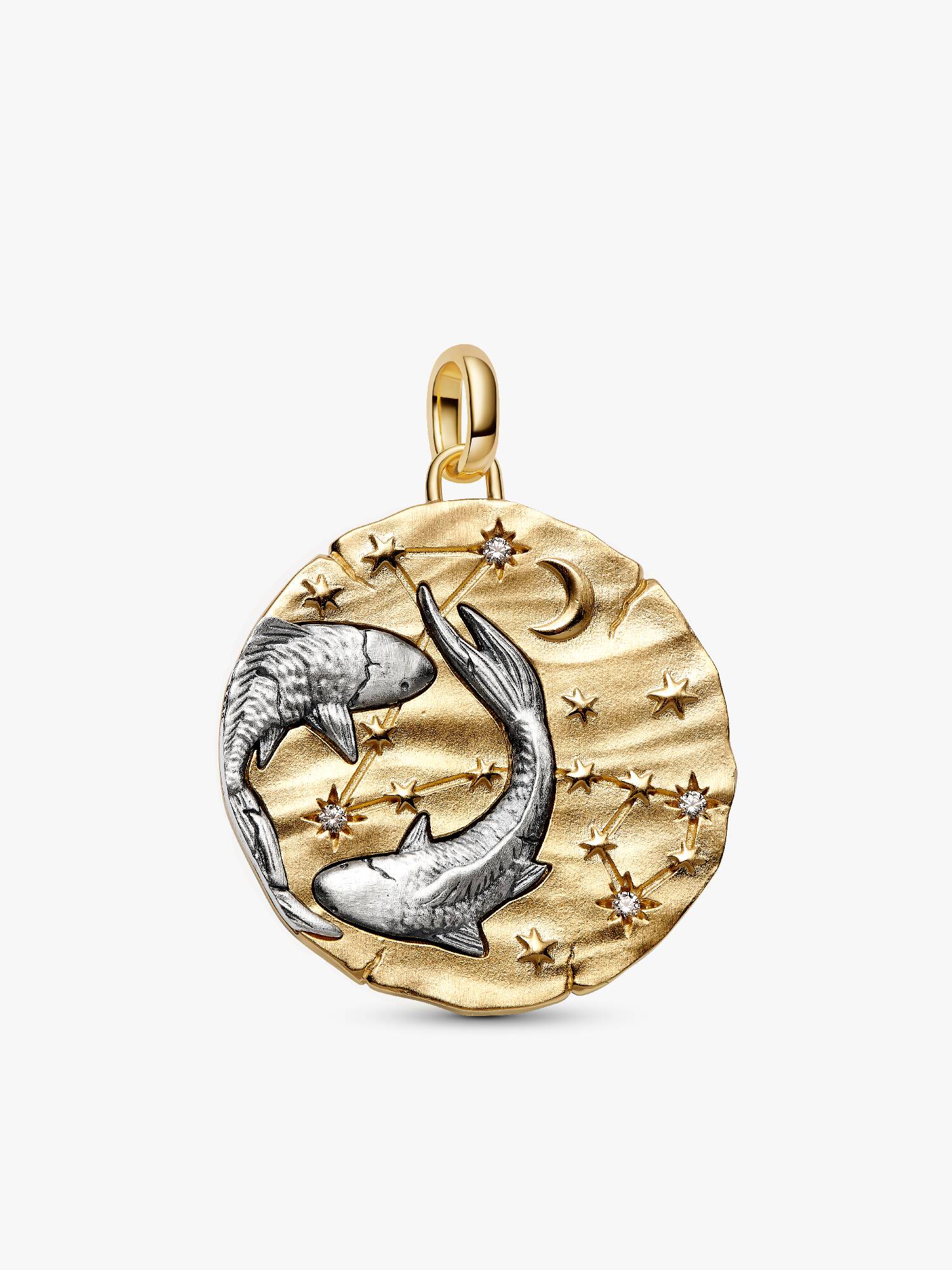 Pisces Zodiac Oversized Medallion Charm