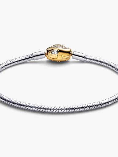 Snake Clasp & Chain Bracelet