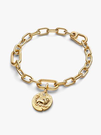 Lion Talisman Charm