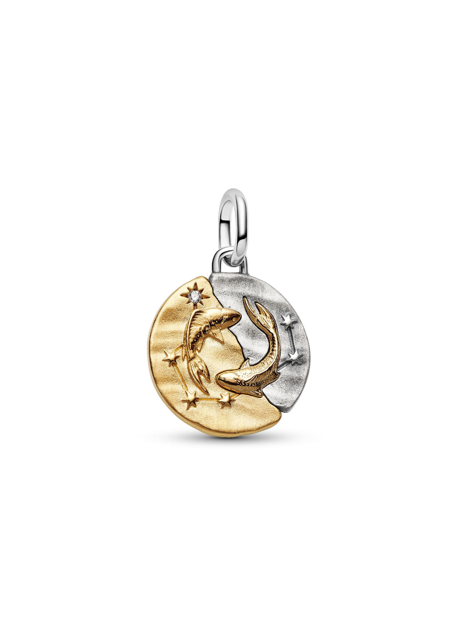 Pisces Zodiac Talisman Charm