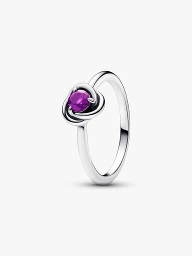 February Crystal Birthstone Eternity Circle Ring
