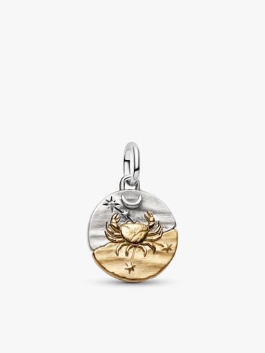 Resilience Talisman Charm and Bracelet Set