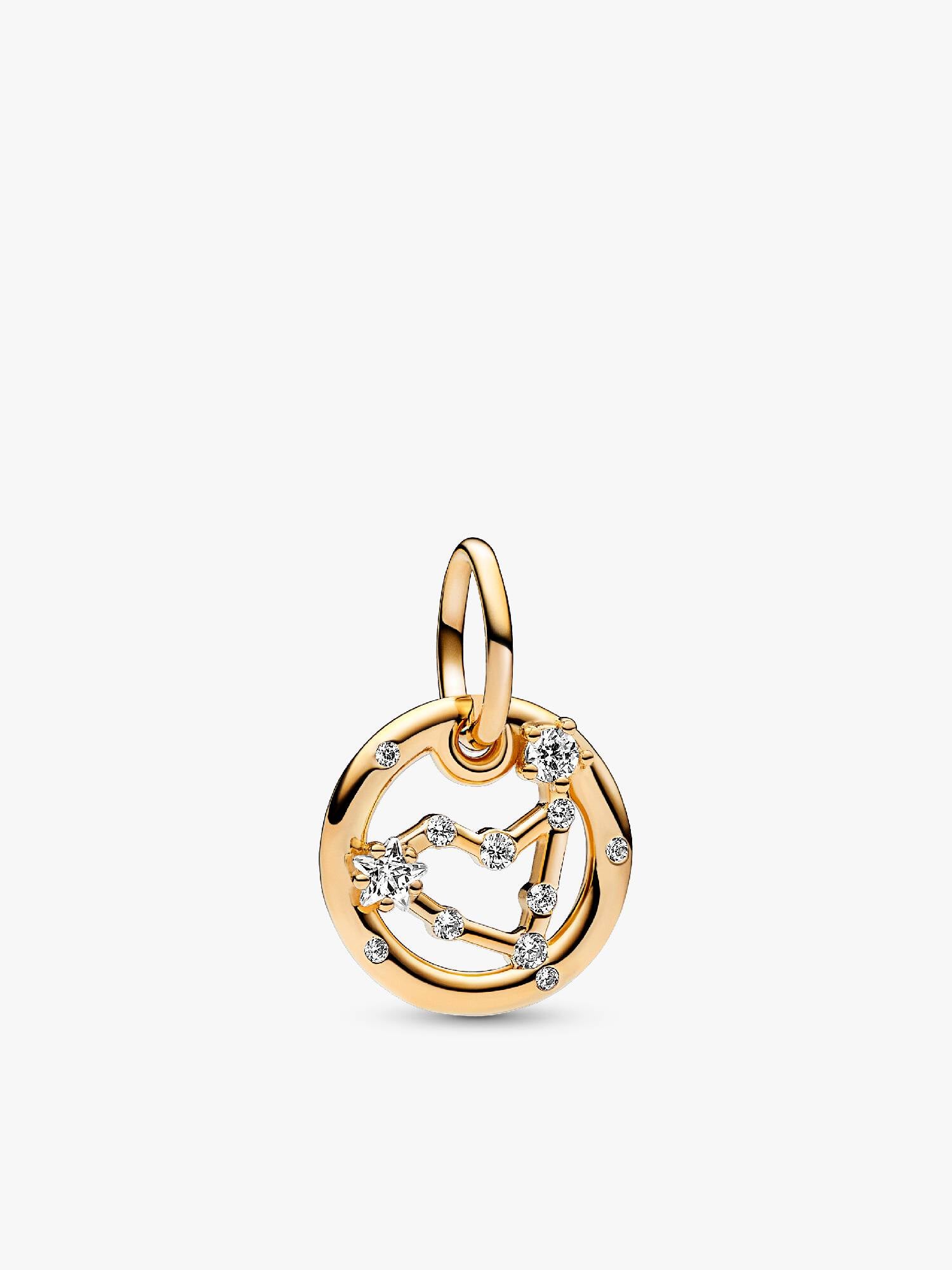 Capricorn Zodiac Dangle Charm