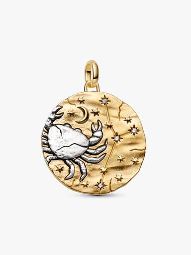Cancer Zodiac Oversized Medallion Charm