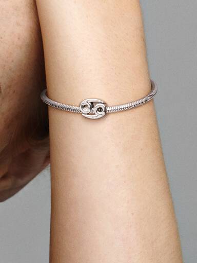 Sparkling Cancer Zodiac Charm