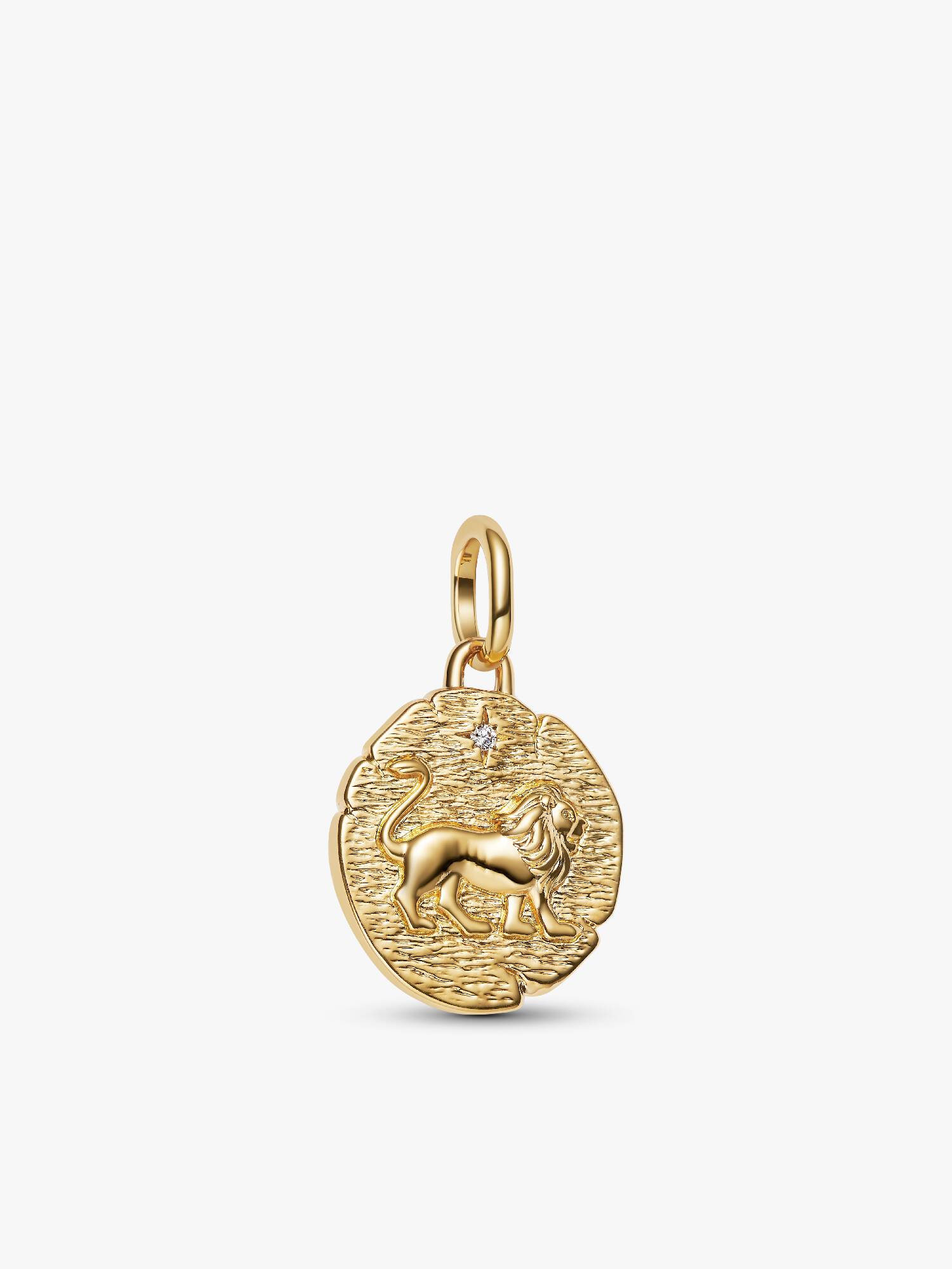 Lion Talisman Charm