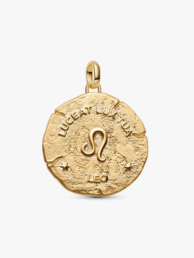 Leo Zodiac Oversized Talisman Charm