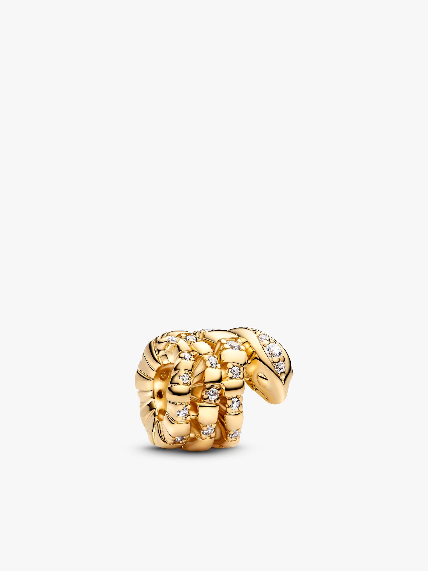 Curled Snake Charm