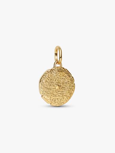 Lion Talisman Charm