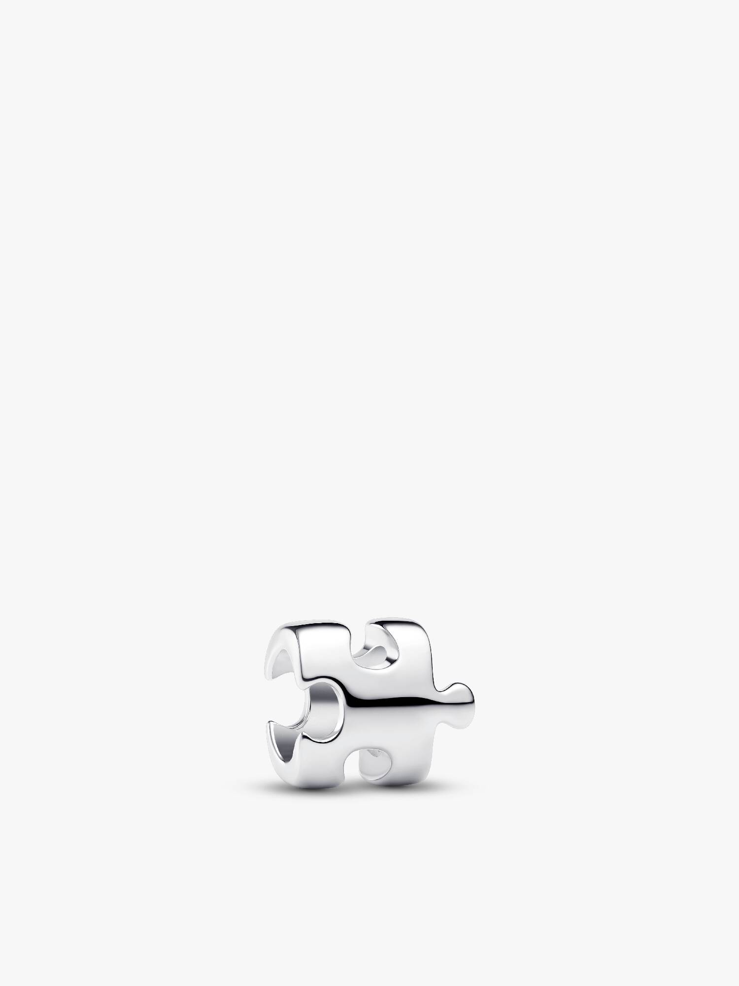 Puzzle Piece Mini Charm
