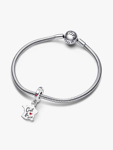 Map of France C’est La Vie Dangle Charm