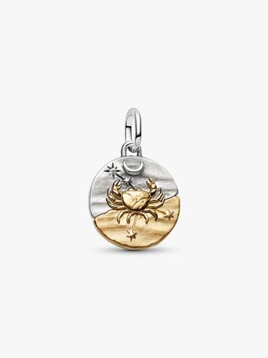 Cancer Zodiac Talisman Charm