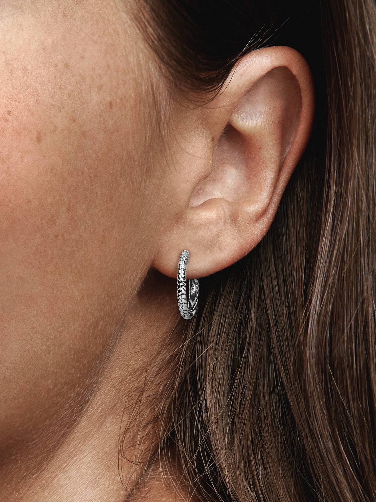 Pandora Moments Charm Hoop Earrings
