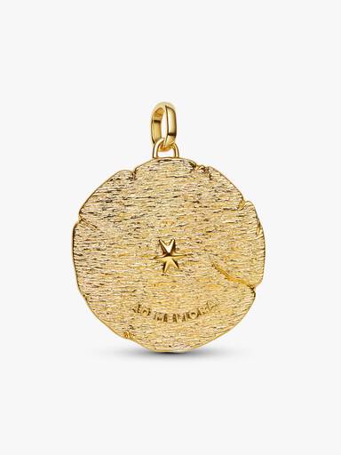 Crossing Arrows Oversized Talisman Charm