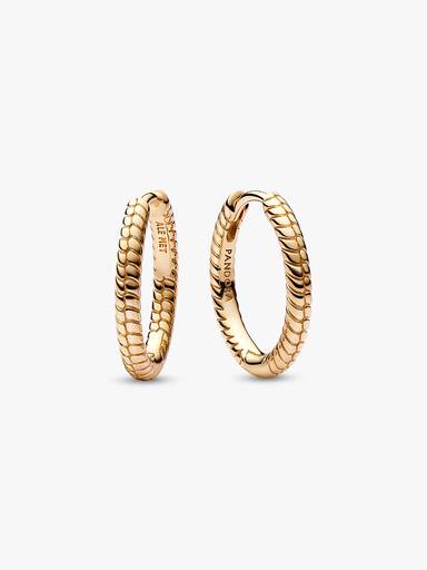 Pandora Moments Charm Hoop Earrings