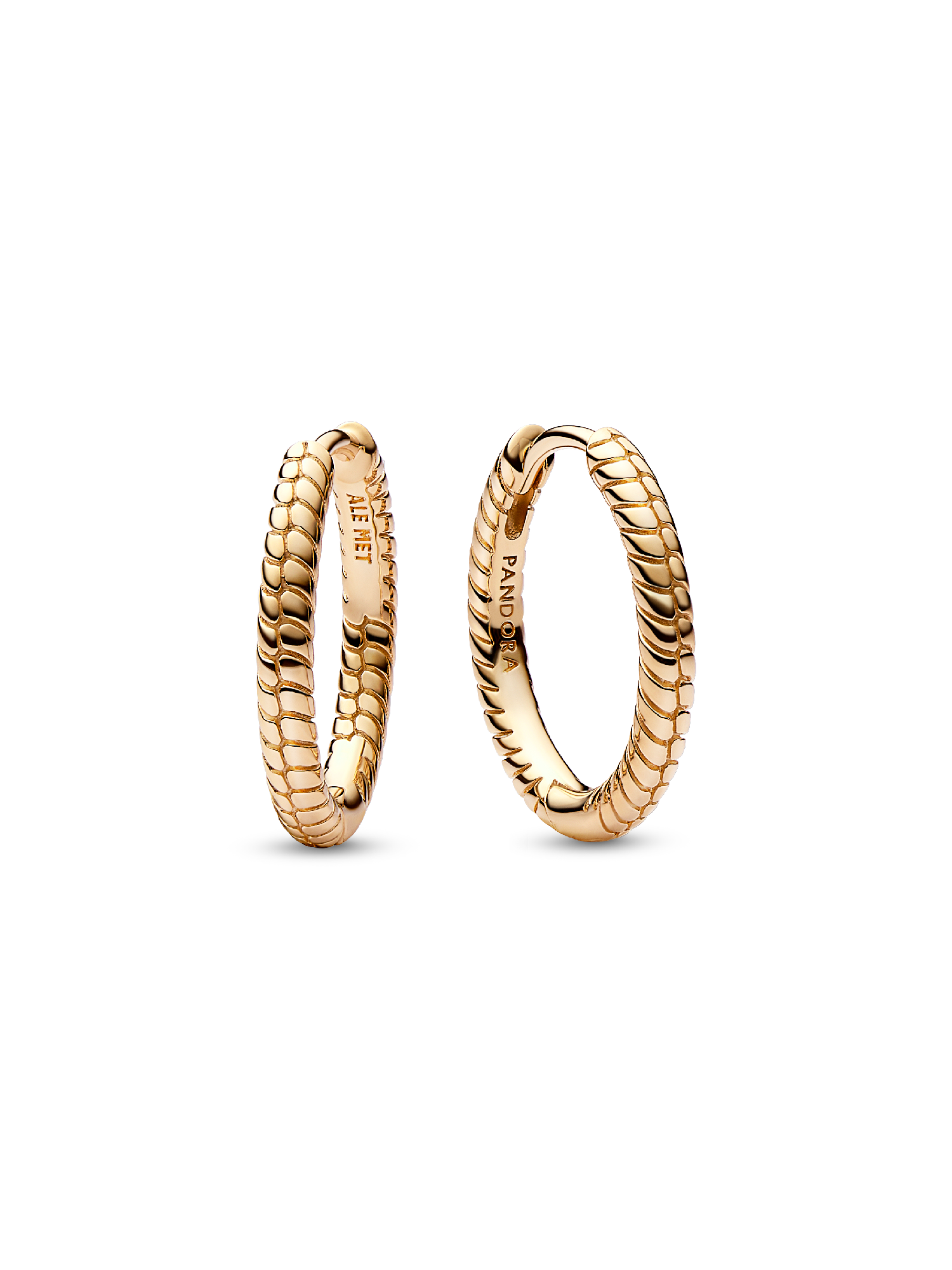 Pandora Moments Charm Hoop Earrings