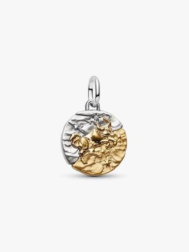 Taurus Zodiac Medallion Charm