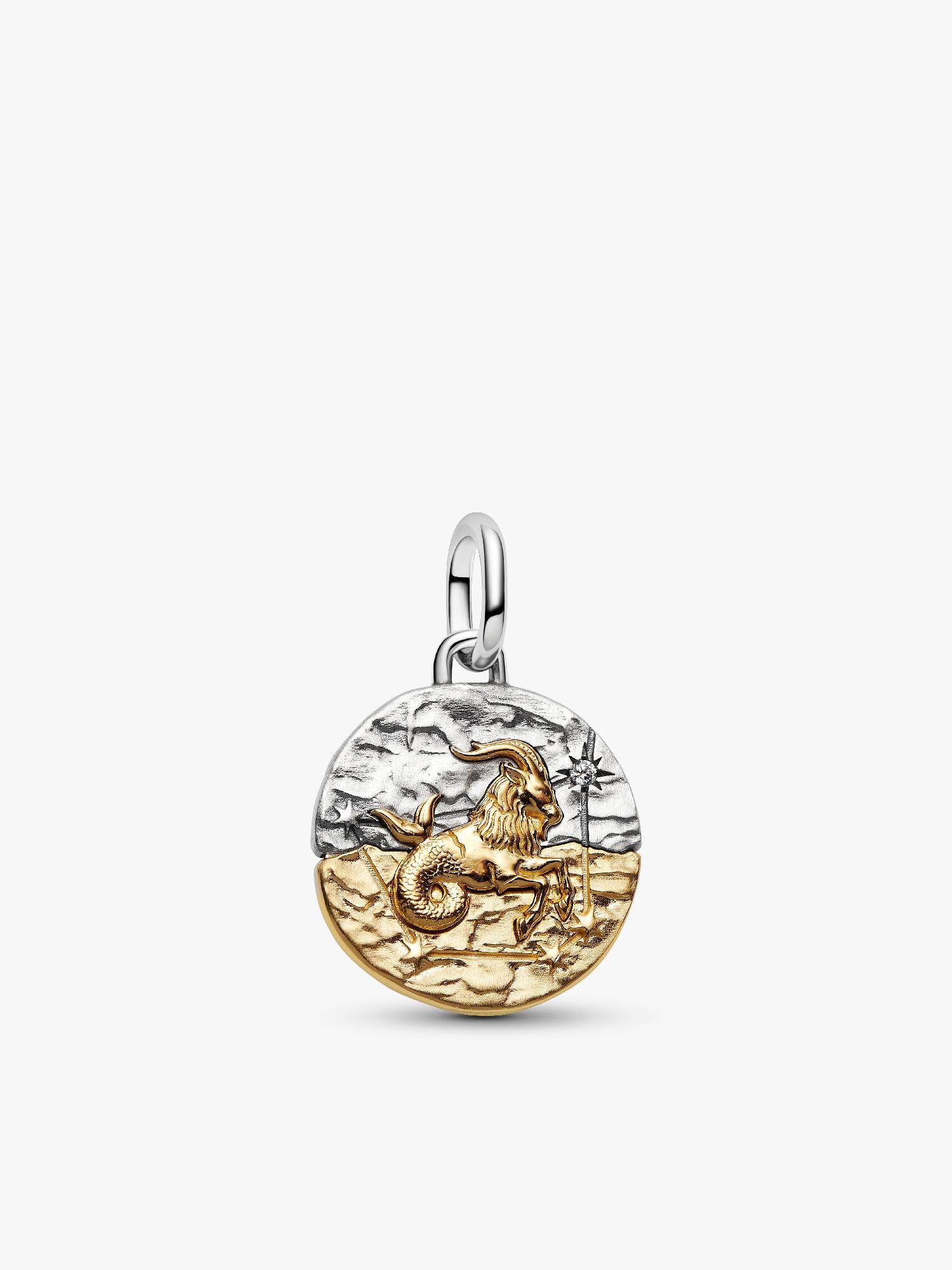Capricorn Zodiac Medallion Charm