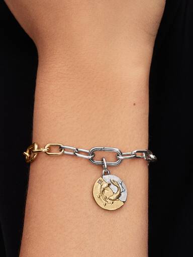 Pisces Zodiac Talisman Charm