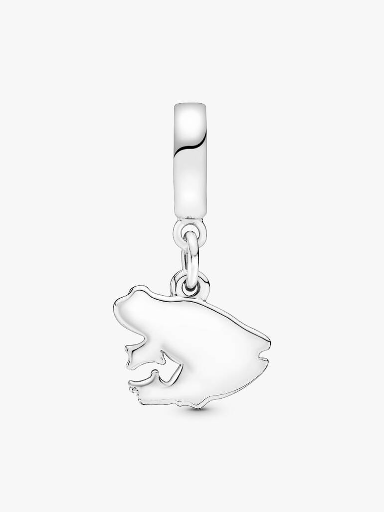 Puerto Rico Frog Hanging Charm