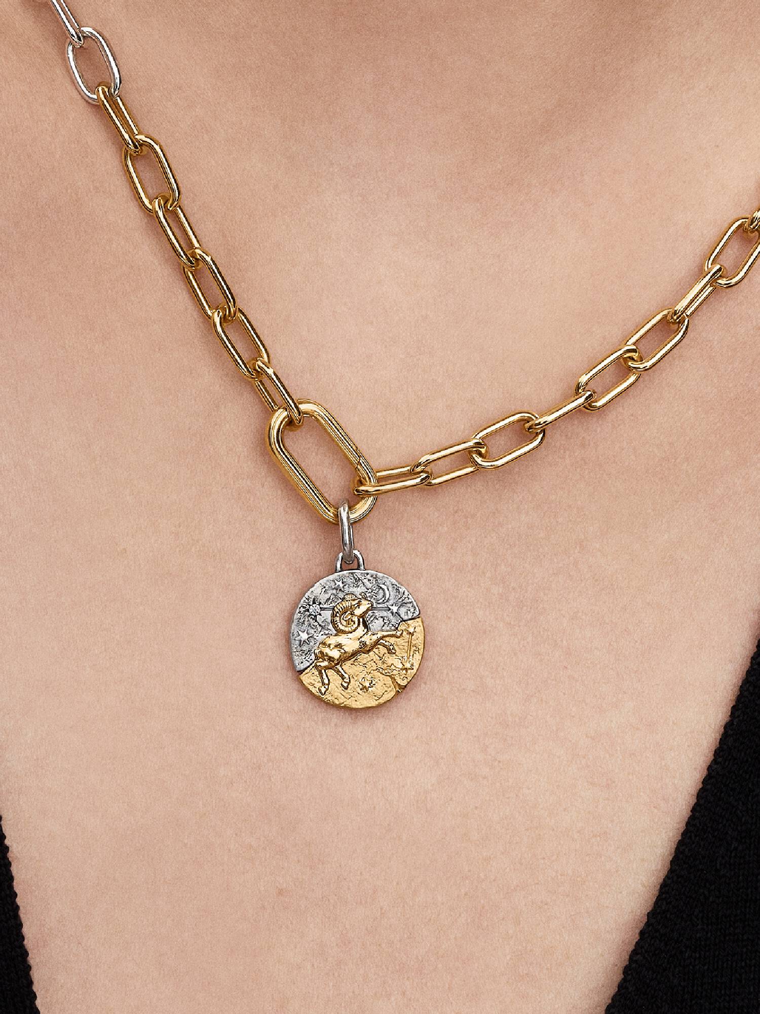 Aries Zodiac Talisman Charm
