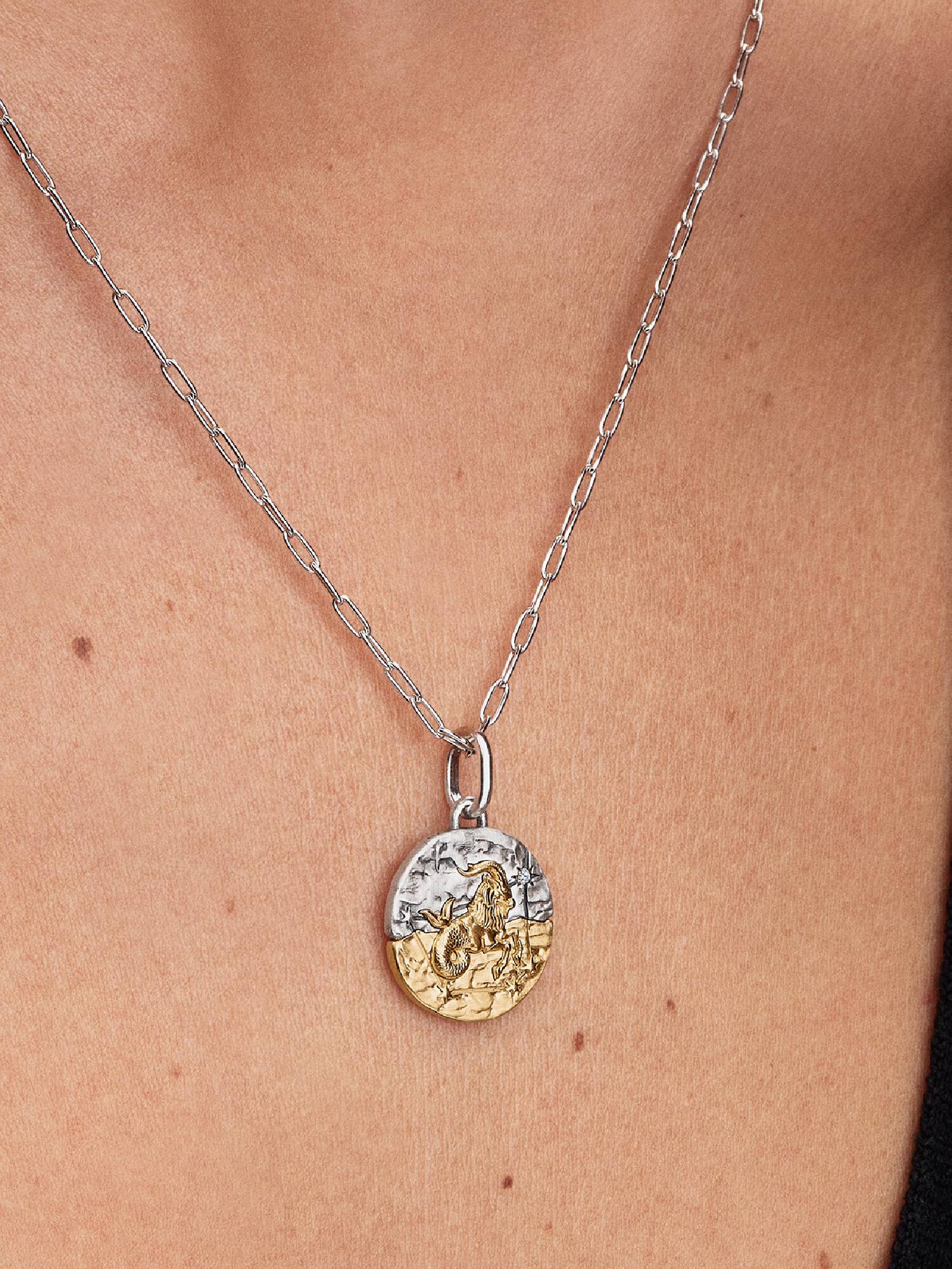 Capricorn Zodiac Talisman Charm