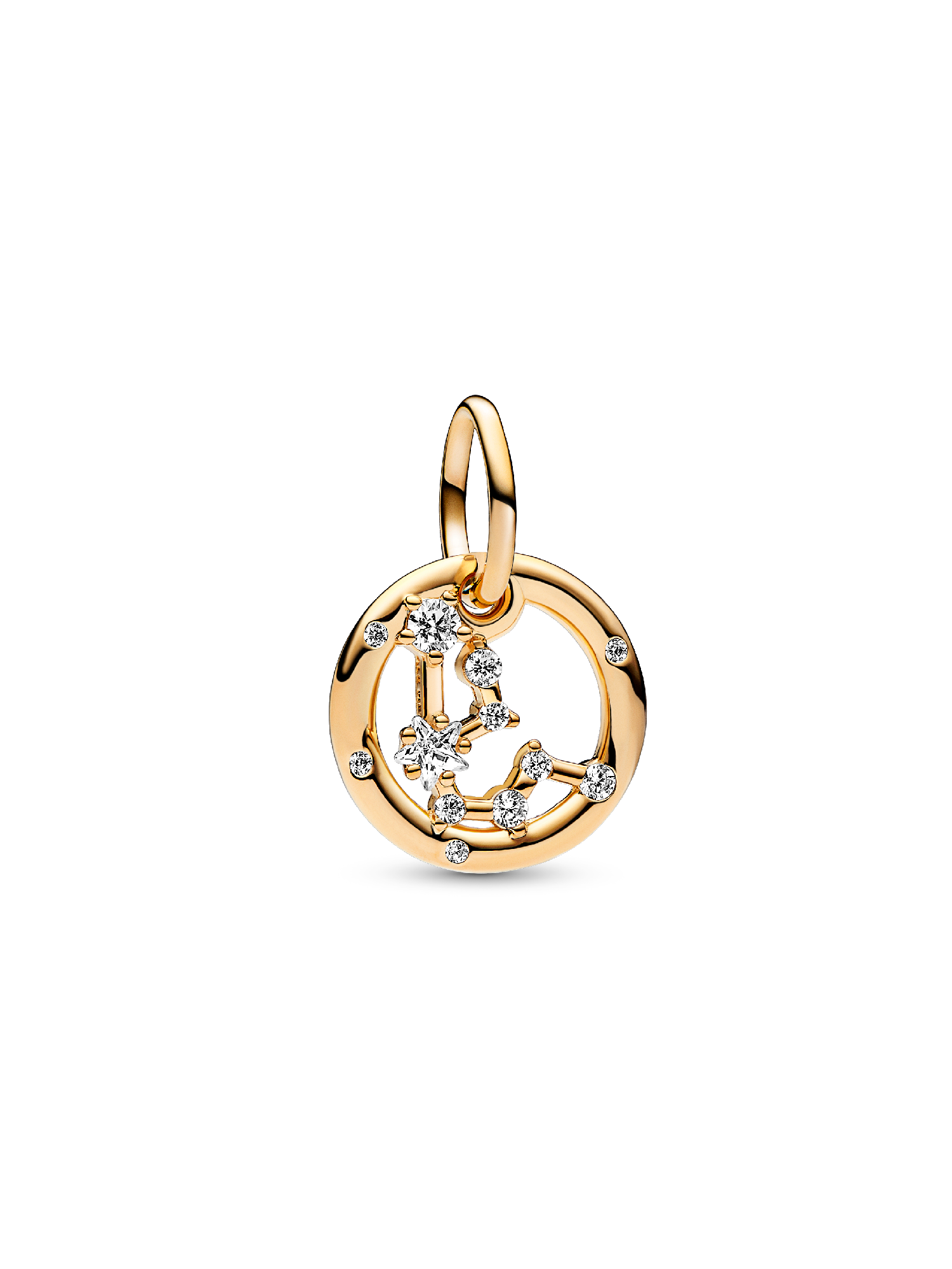 Aquarius Zodiac Dangle Charm