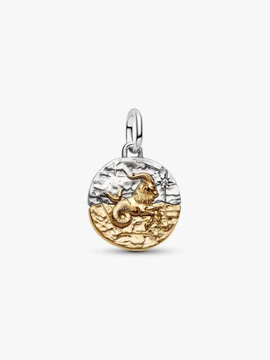 Capricorn Zodiac Medallion Charm