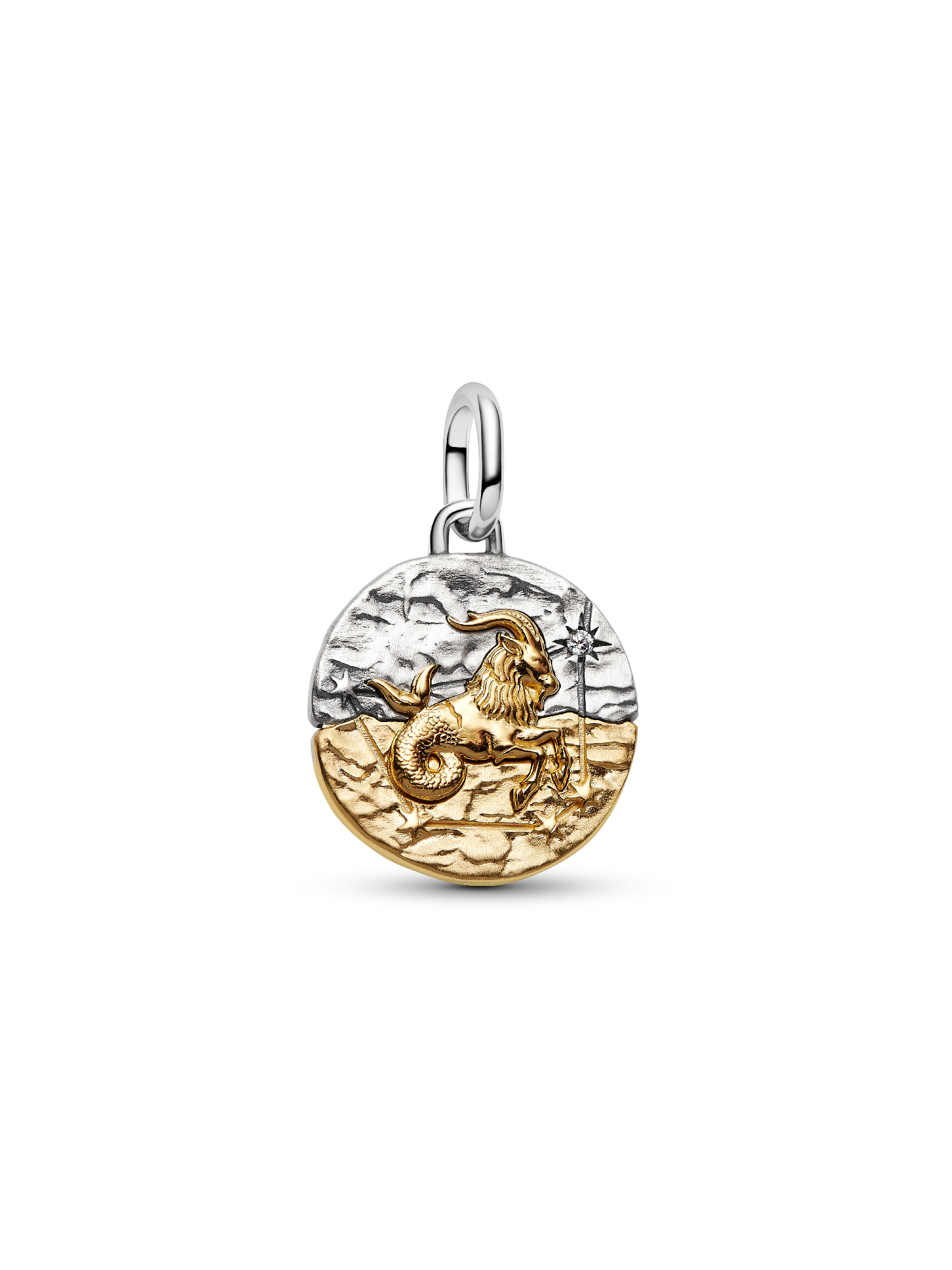 Capricorn Zodiac Talisman Charm