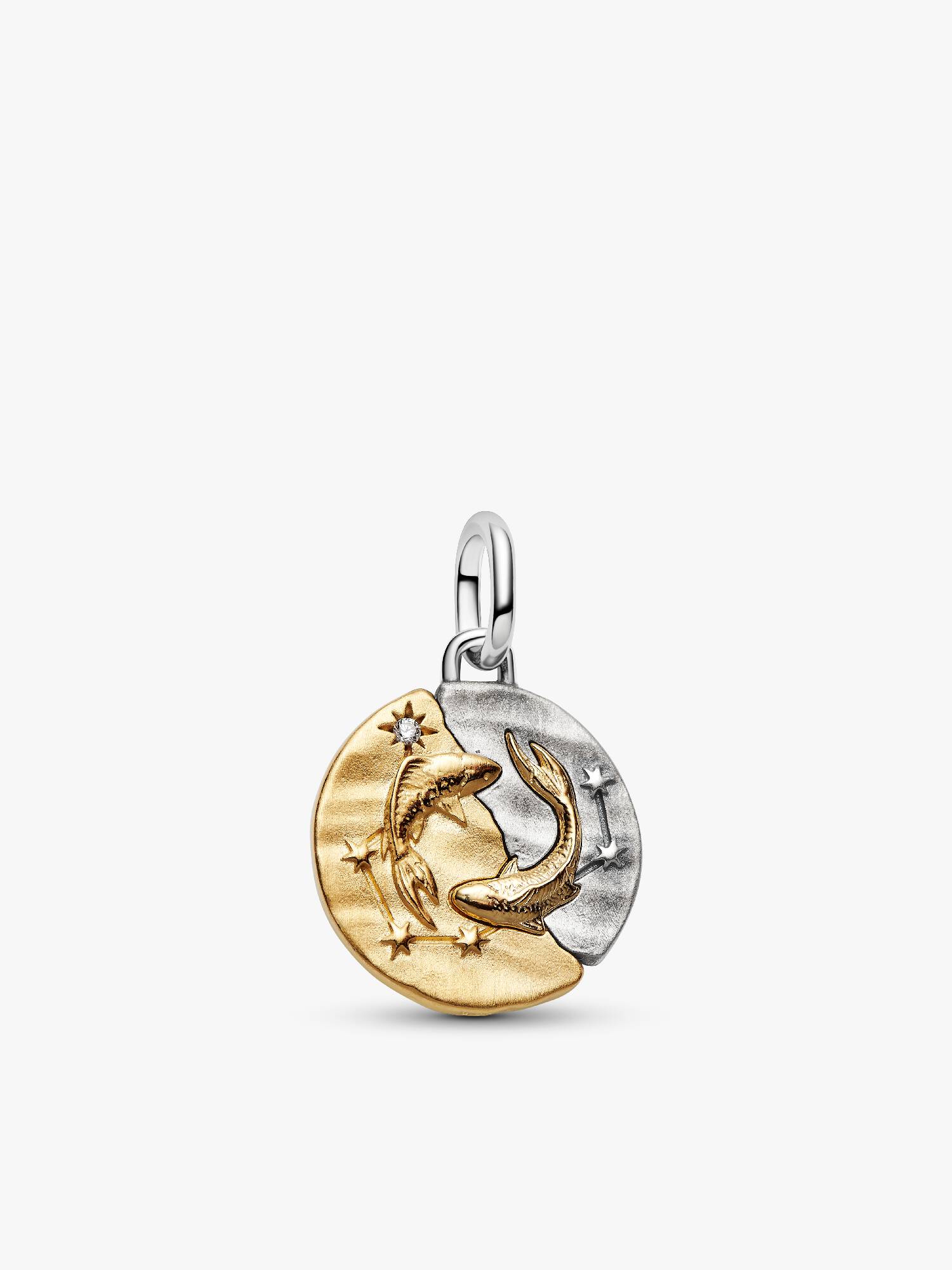 Pisces Zodiac Medallion Charm