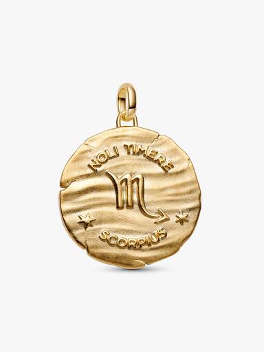 Scorpio Zodiac Oversized Talisman Charm