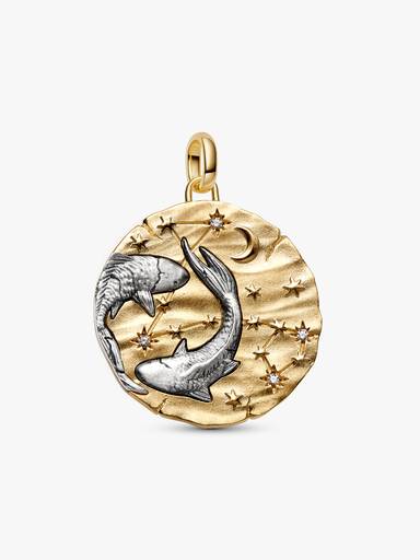 Pisces Zodiac Oversized Medallion Charm