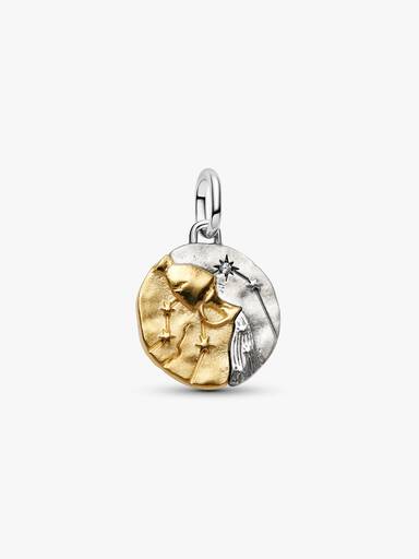 Aquarius Zodiac Medallion Charm