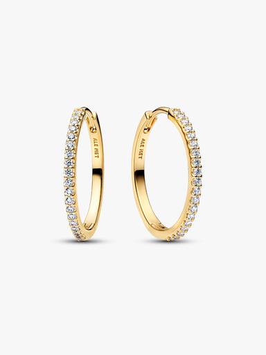 Sparkling Hoop Earrings