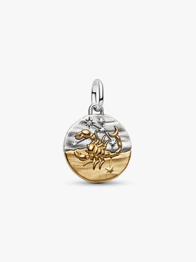 Scorpio Zodiac Medallion Charm