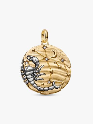 Scorpio Zodiac Oversized Talisman Charm