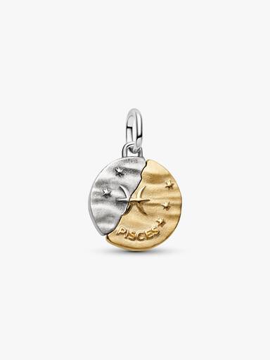 Pisces Zodiac Medallion Charm