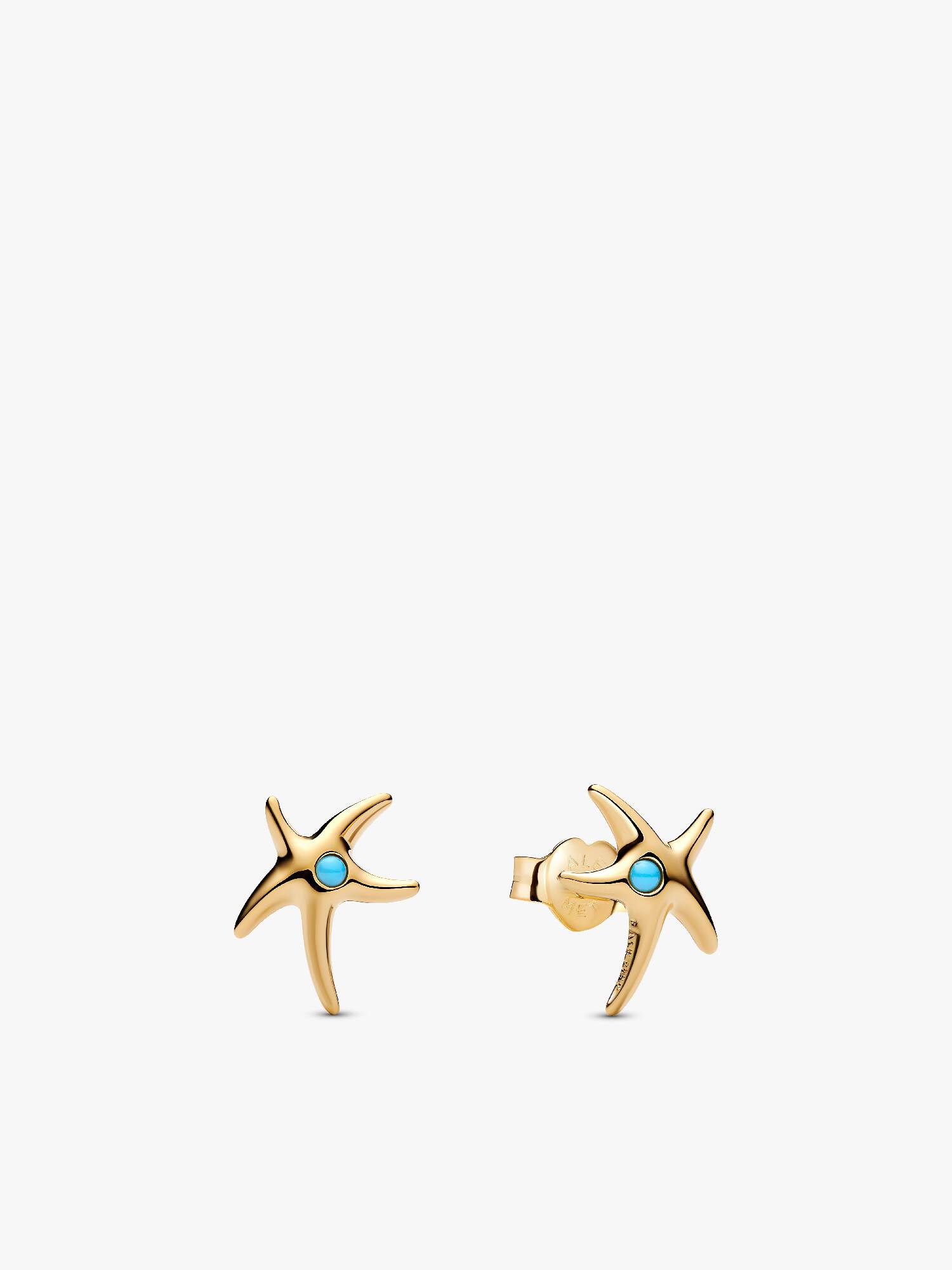 Starfish Stud Earrings