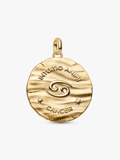 Cancer Zodiac Oversized Medallion Charm