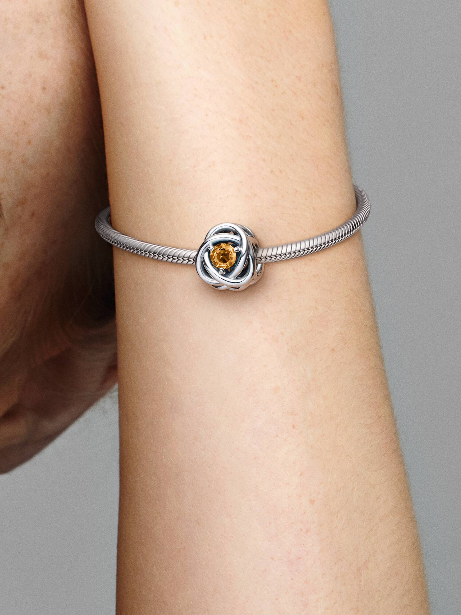 November Crystal Birthstone Eternity Circle Charm