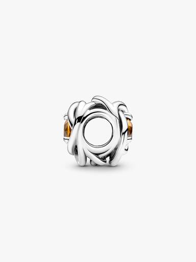 November Crystal Birthstone Eternity Circle Charm