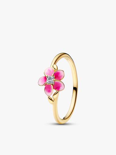 Island and Sea Disney Moana Ring Set