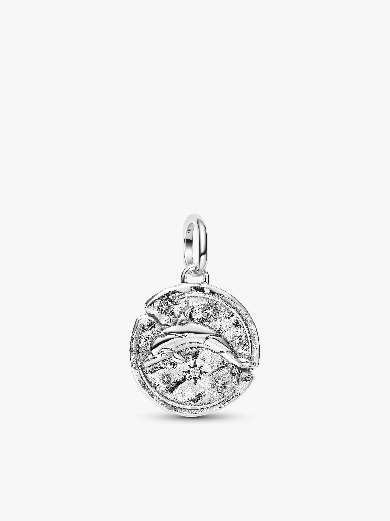 Dolphin Talisman Charm