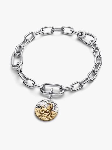 Capricorn Zodiac Medallion Charm