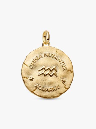 Aquarius Zodiac Oversized Medallion Charm