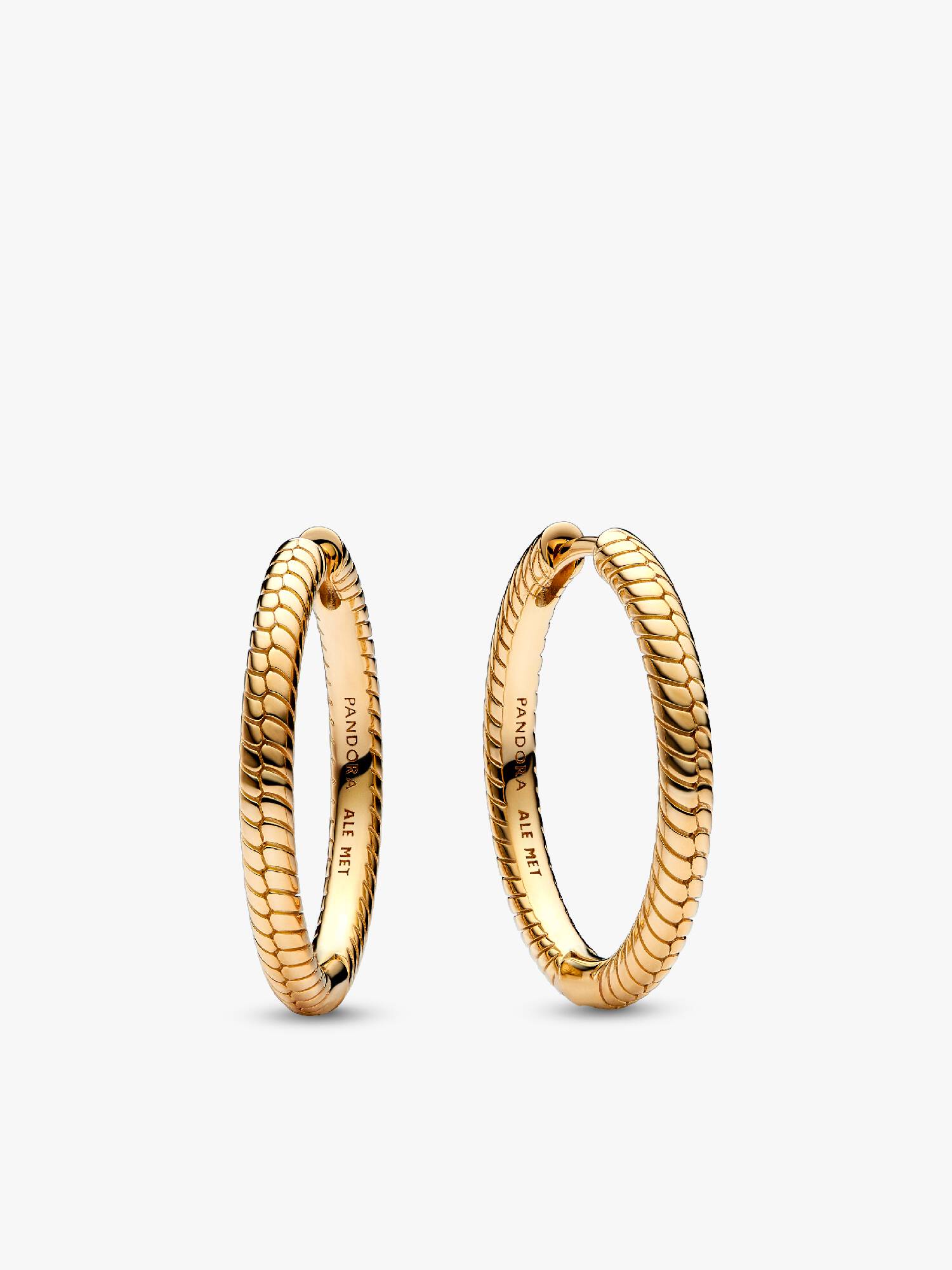 Pandora Moments Charm Hoop Earrings