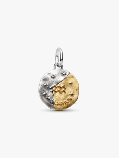 Aquarius Zodiac Talisman Charm