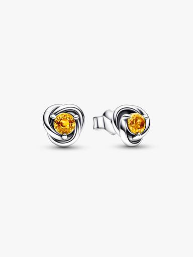 November Crystal Birthstone Eternity Circle Stud Earrings